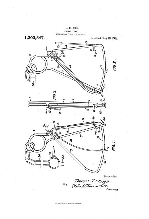 Patent drawing showing a wire loop trap with two spring coils, a triangular loop arm assembly with numbered parts, a trigger bar, and an attached chain with anchoring stake, illustrated in set (Fig. 1), sprung (Fig. 2), and side (Fig. 3) views.