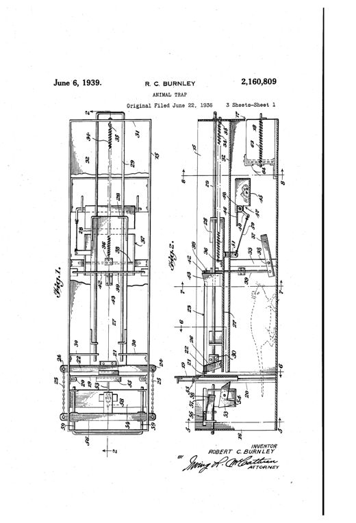 Patent drawing of a long rectangular animal trap casing with a vertical sliding entrance door, internal treadle and spring-loaded tripping plate, a bait box with a hinged gate, and a rear execution box with hinged choking doors, shown in plan and multiple cross-sections.
